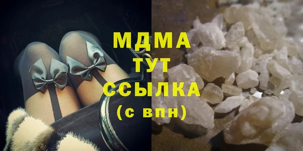 индика Алексин