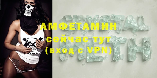 индика Алексин