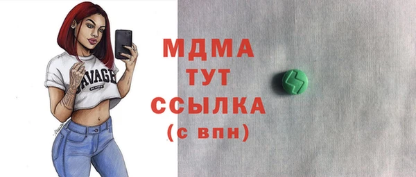 индика Алексин