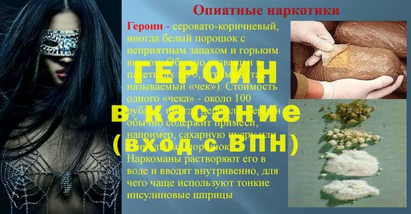 индика Алексин