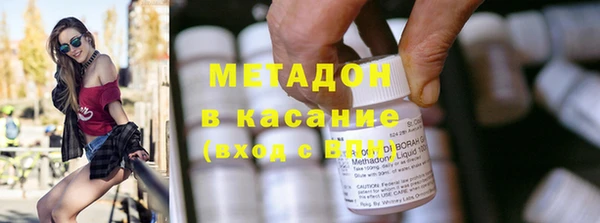 индика Алексин