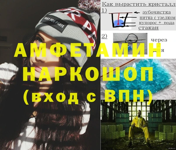 индика Алексин