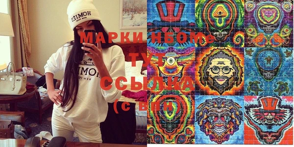 индика Алексин