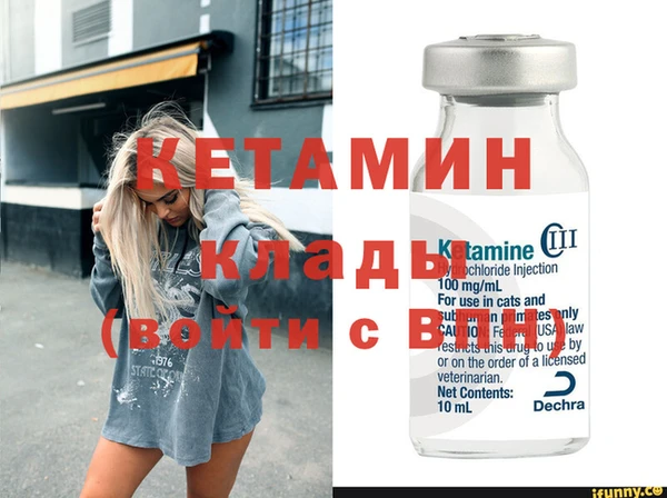 индика Алексин