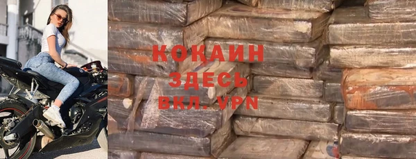 индика Алексин