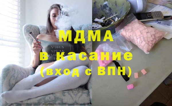 индика Алексин