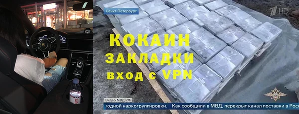 хмурый Алзамай
