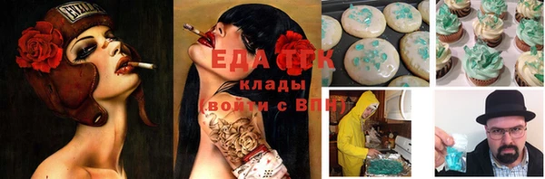 индика Алексин
