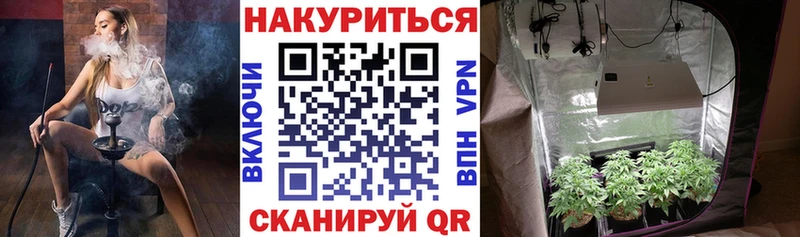mega как зайти  Лермонтов  darknet Telegram  Шишки марихуана VHQ 
